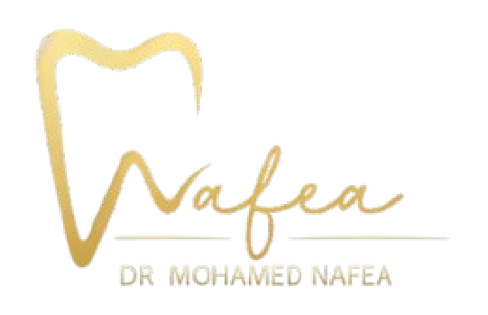 Dr Mohamed Nafea